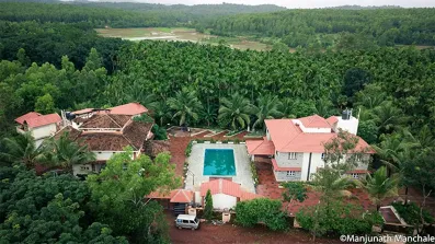 Pine Wood Tree House